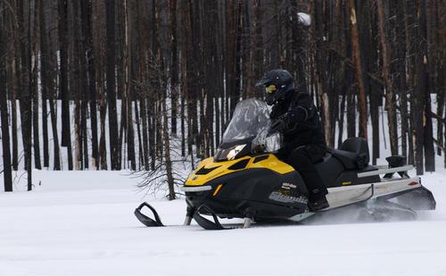 Snowmobile "Bombardier": מאפיינים טכניים, מחיר וביקורות. Snowmobile "Bombardier 600"