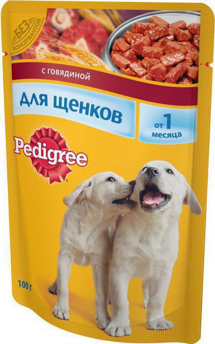 מזון לכלבים 
