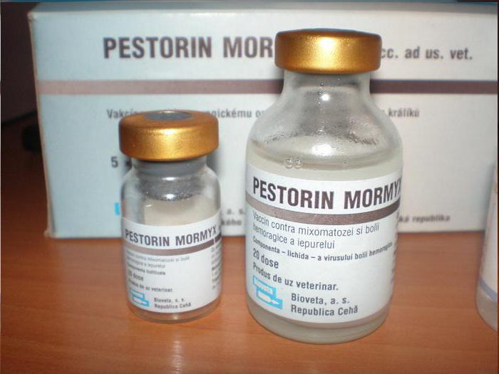 Pestorin מורמיקס יישום