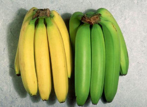 אתה יכול לאכול בננות ירוקות
