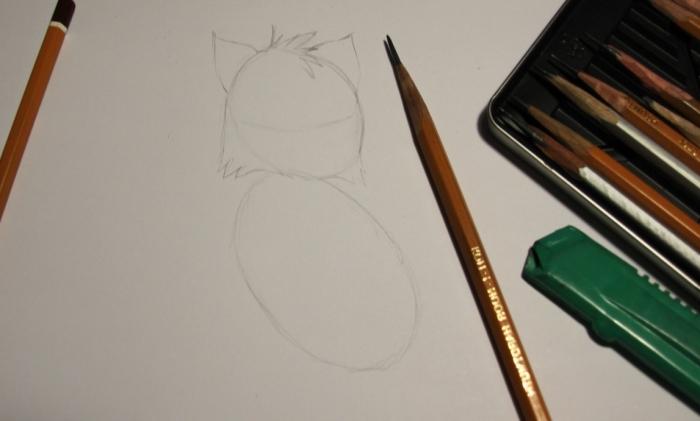 איך לצייר עיפרון חתלתול