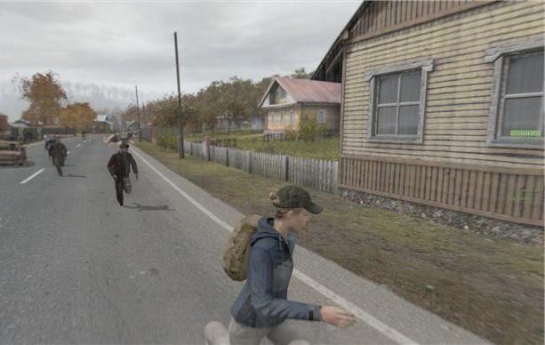 DayZ עצמאי: איך לייעל את המשחק?