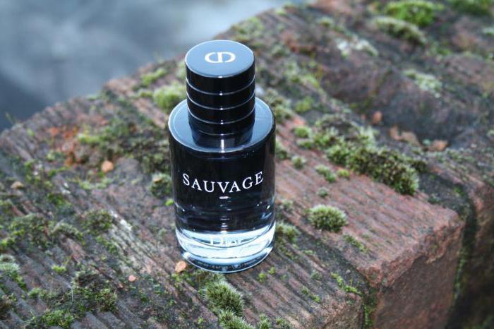 או דה טואלט Water Dior Sauvage: ביקורות, פירמידה, מחיר