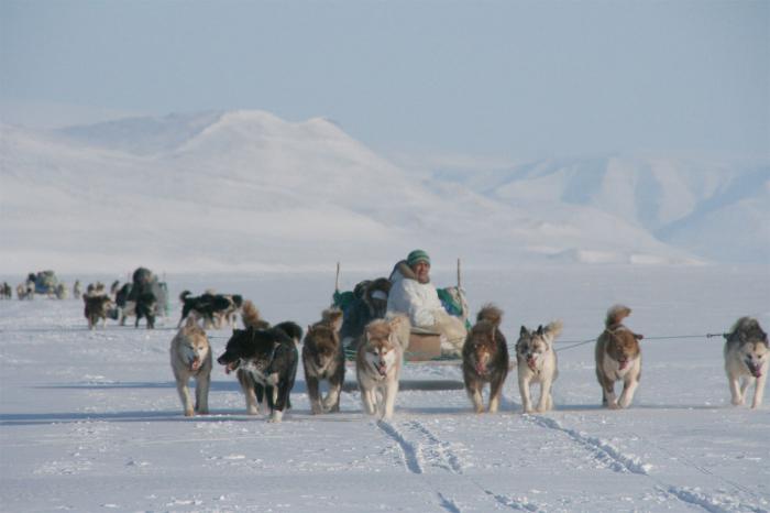 עמים ילידים של הארקטי