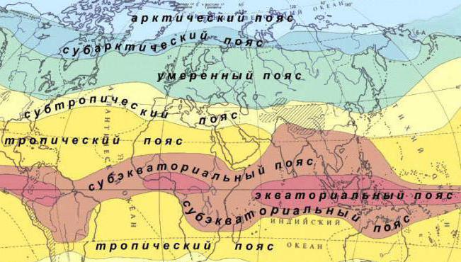 אקלים הקלה של Eurasia: תיאור, תכונות, תמונה