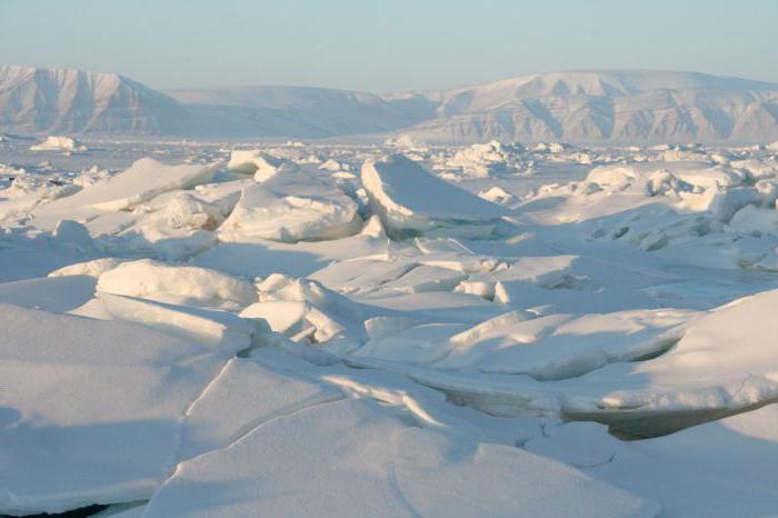 ההבדלים העיקריים בין הארקטי לבין אנטארקטיקה: תיאור ותכונות