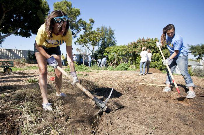 פעילות חברתית של הפרט וסוגיו של גורמי הפעילות החברתית