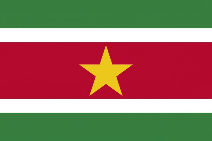 באיזו מדינה יש את הדגל - ירוק, לבן, אדום?