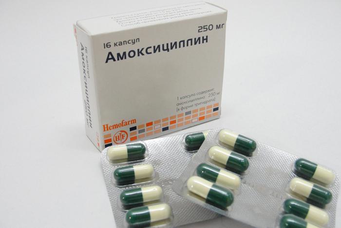 הוראות amoxicillin לשימוש בטבלט 